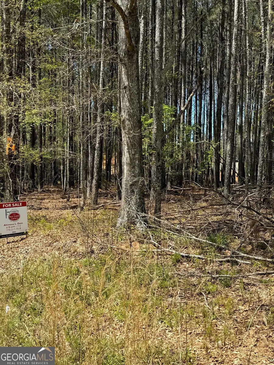0 Etchison Spur, Loganville, GA 30052 - #2