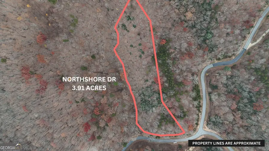 LOT 183 Northshore Drive, Cleveland, GA 30528 - #2