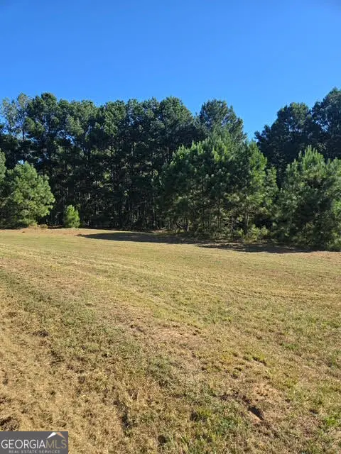 4A Horseshoe Road, Loganville, GA 30052 - #3