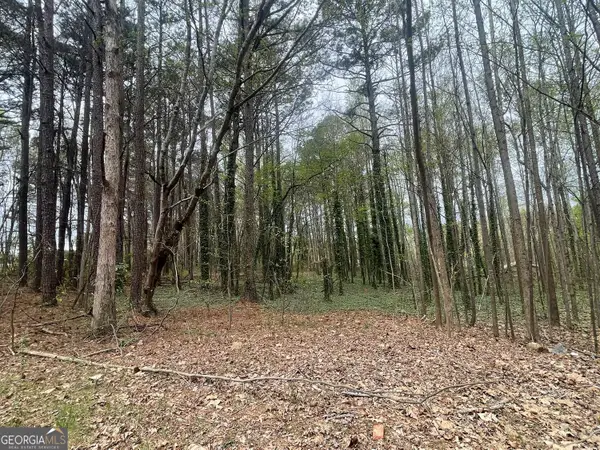 0 Mt Tabor Church Road, Dallas, GA 30157