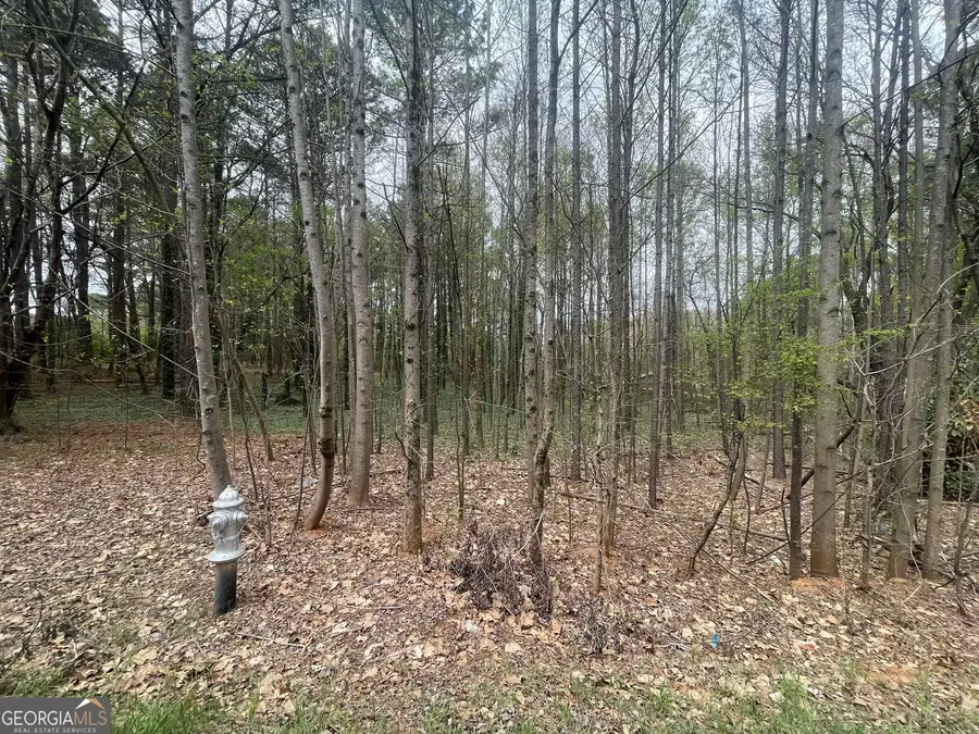 0 Mt Tabor Church Road, Dallas, GA 30157 - #3