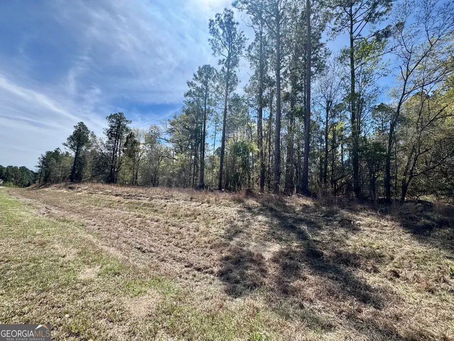 0 East Ga Hwy 86, Lyons, GA 30436 - #2