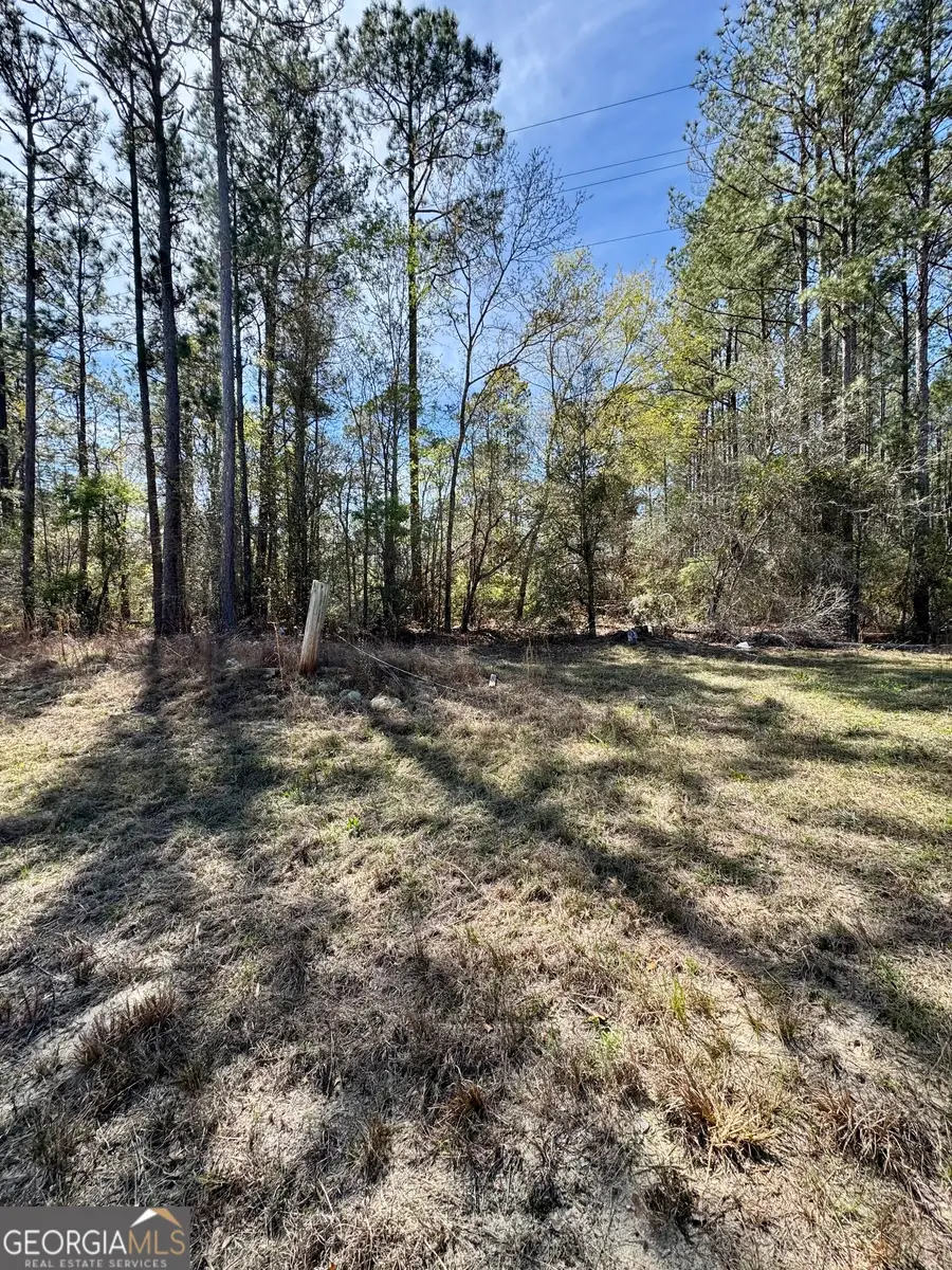 0 East Ga Hwy 86, Lyons, GA 30436 - #3