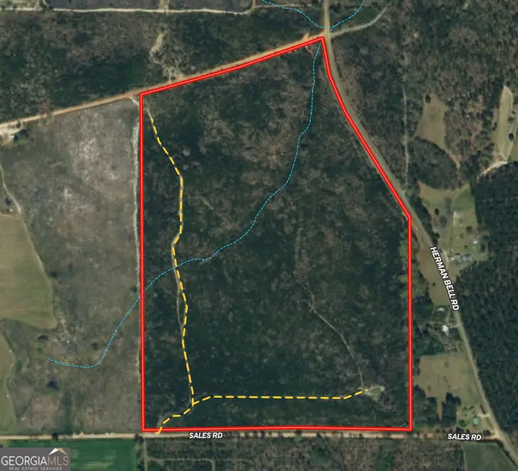 95 +/- AC Sales Road, Mauk, GA 31058 - #1