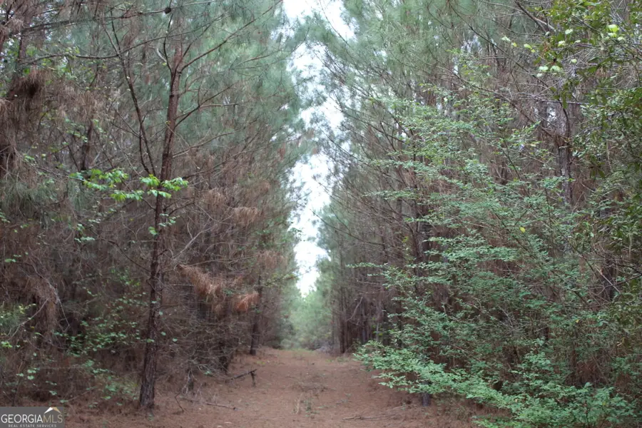 95 +/- AC Sales Road, Mauk, GA 31058 - #2