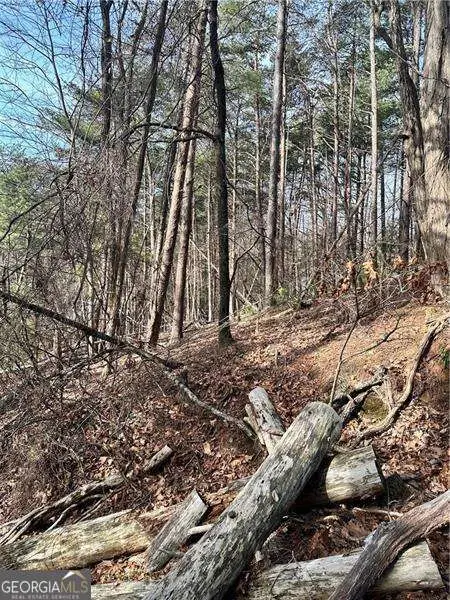 0 Log Swamp Dr. Drive, Jasper, GA 30143 - #1