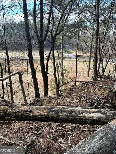 0 Log Swamp Dr. Drive, Jasper, GA 30143 - #3