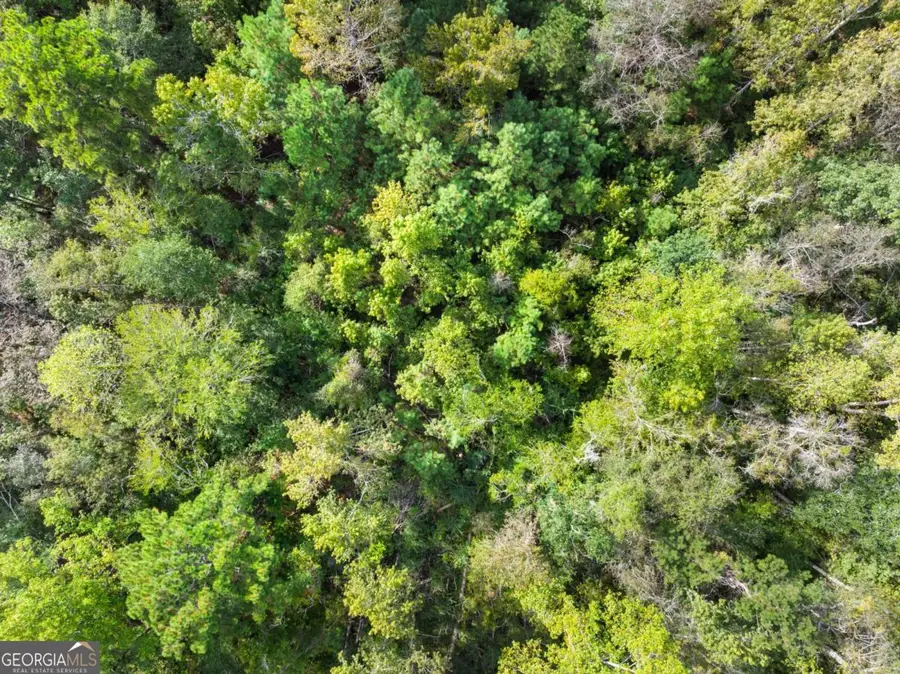 0 Plantation Pointe Drive, Statesboro, GA 30461 - #3