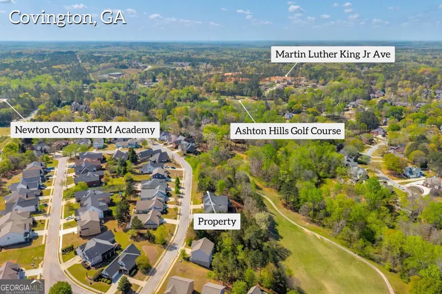 9153 Golfview Lane, Covington, GA 30014 - #3