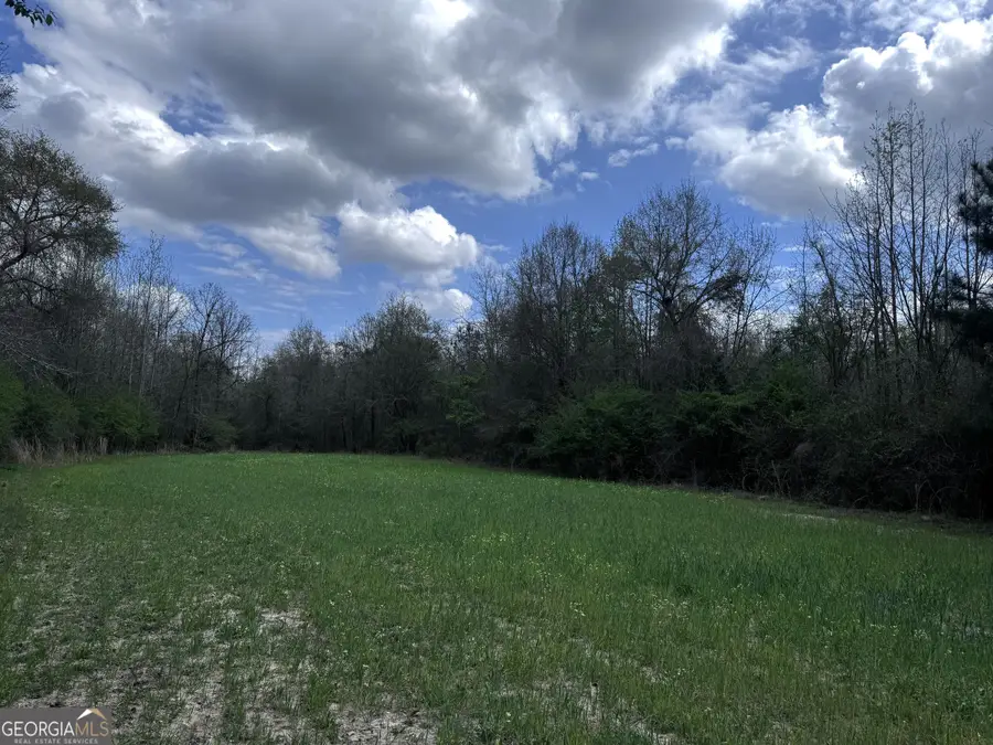 31+/- AC Highway 26, Buena Vista, GA 31803 - #2