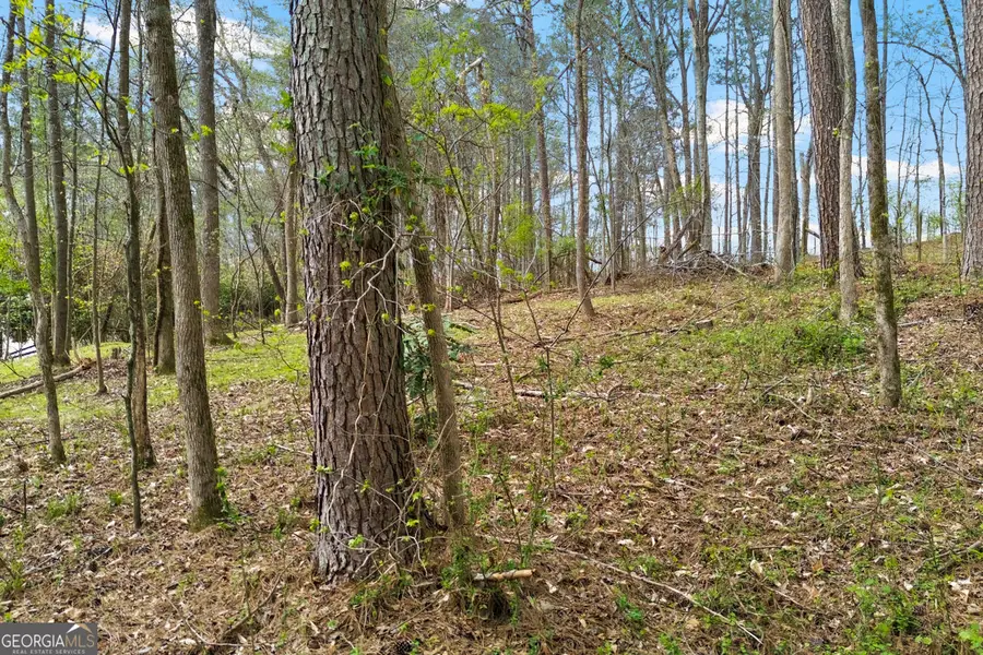 389 N Lake Drive #3, Canton, GA 30115 - #3