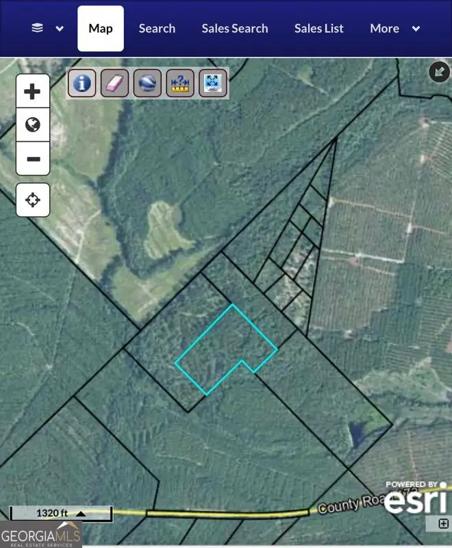 20 AC N Hope Church & Rt. 149, Scotland, GA 30310 - #1