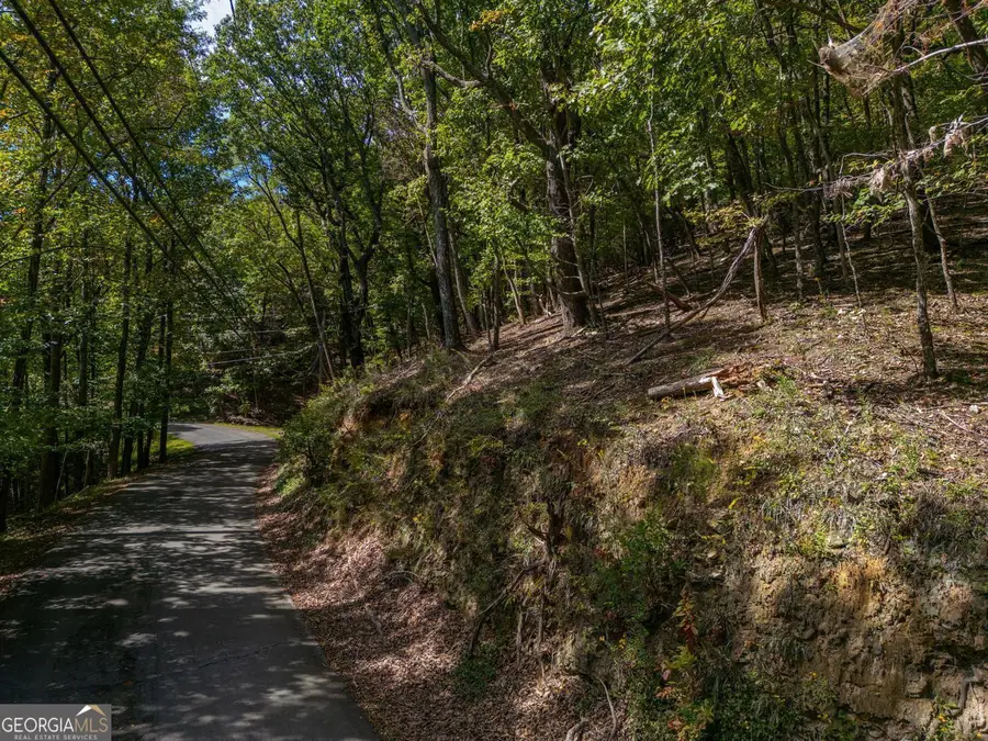 0 Denny Ridge Road, Jasper, GA 30143 - #2