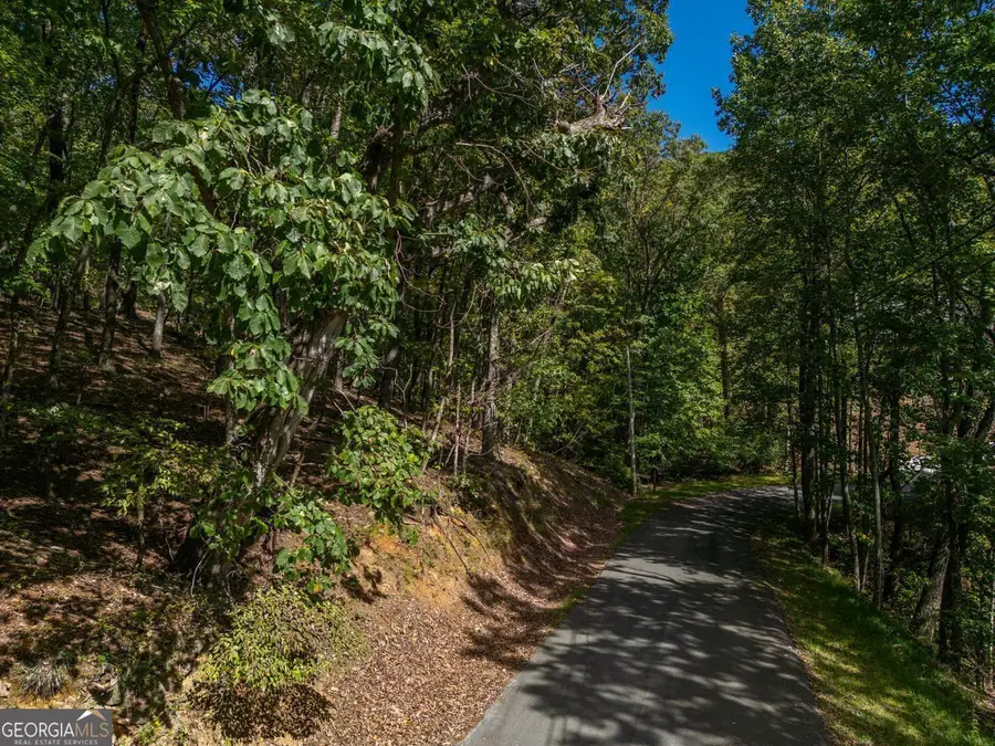 0 Denny Ridge Road, Jasper, GA 30143 - #3