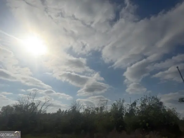 0 Ed Varnadoe Road, Lumber City, GA 31549