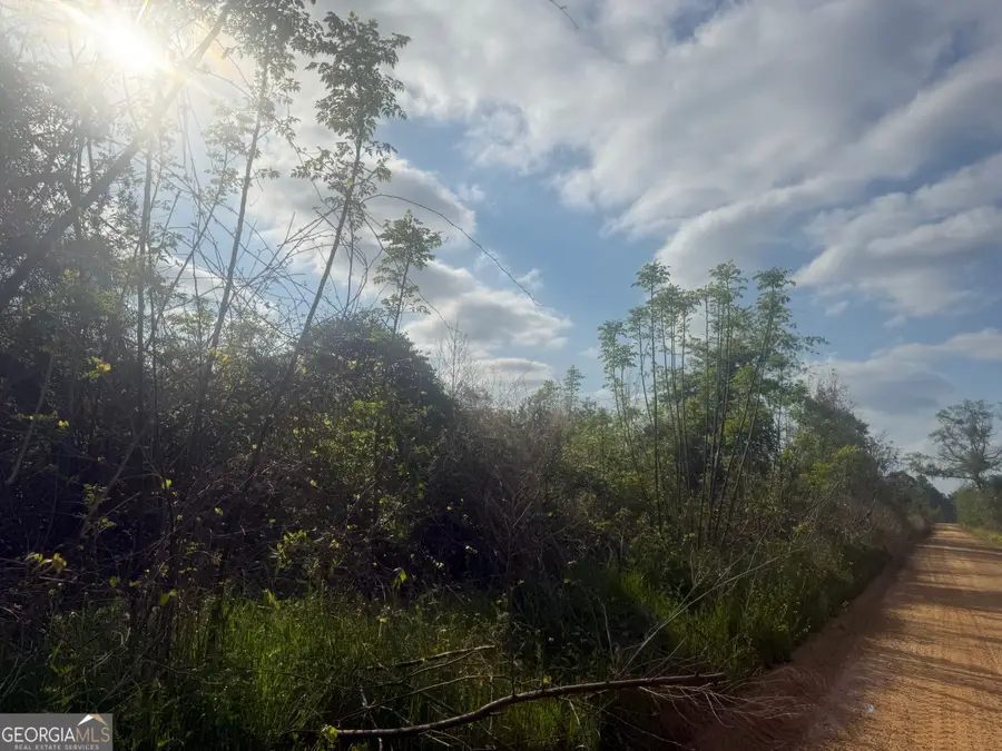 0 Ed Varnadoe Road, Lumber City, GA 31549 - #3