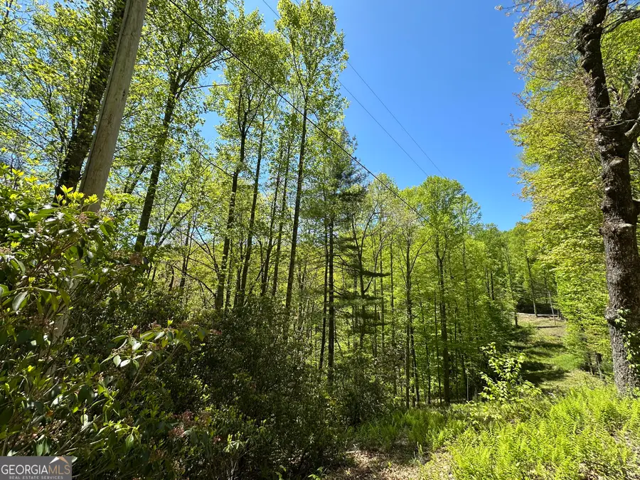 0 Buck Knob Road, Scaly Mountain, NC 28775 - #3