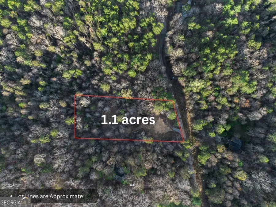 0 Delphi Hills Lane, McCaysville, GA 30555 - #3