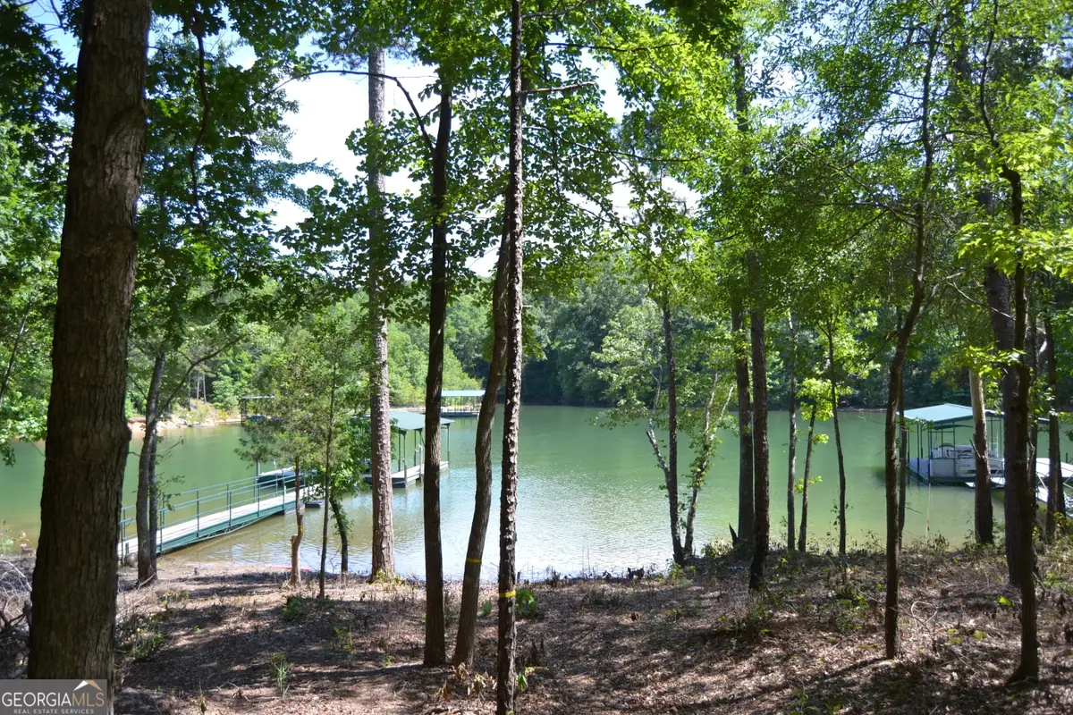 913 Paynes Creek Road #LOT 11, Hartwell, GA 30643 - #1