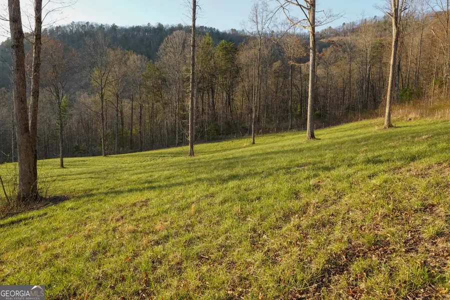 0 David Drive, Tiger, GA 30576 - #2