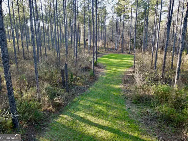 0 Long Cane, Abbeville, SC 29620