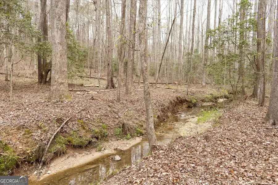 0 Reagan Road, Dawsonville, GA 30534 - #3