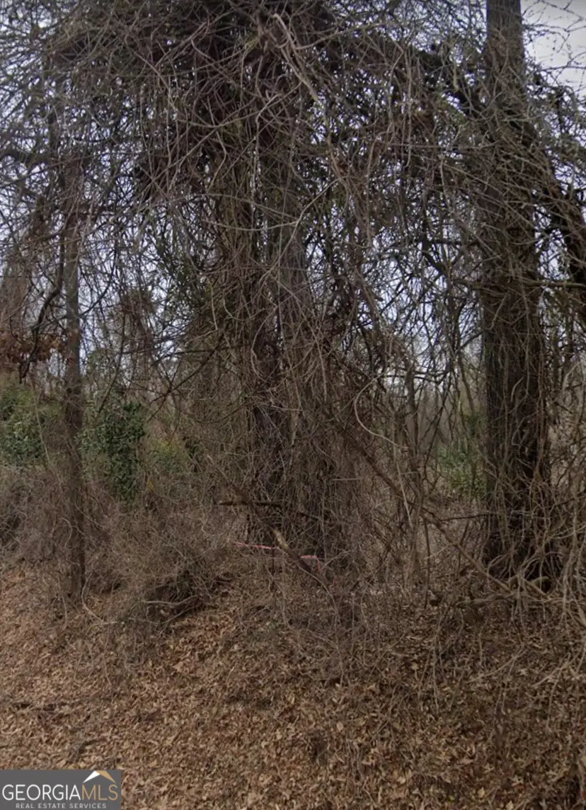 450 Old Princeton Road, Athens, GA 30606 - #1