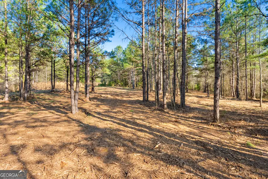 10 Legacy View, Hartwell, GA 30643 - #3