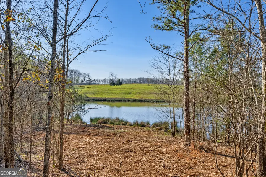 8 Legacy View, Hartwell, GA 30643 - #2