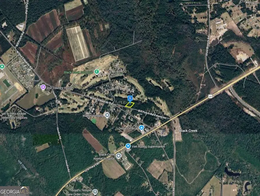 400 Bill Futch Ext Road, Ellabell, GA 31308 - #3