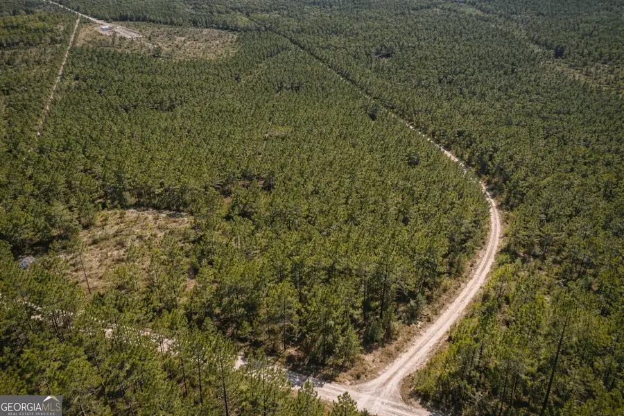 0 Long Ford Road, Jesup, GA 31546 - #2