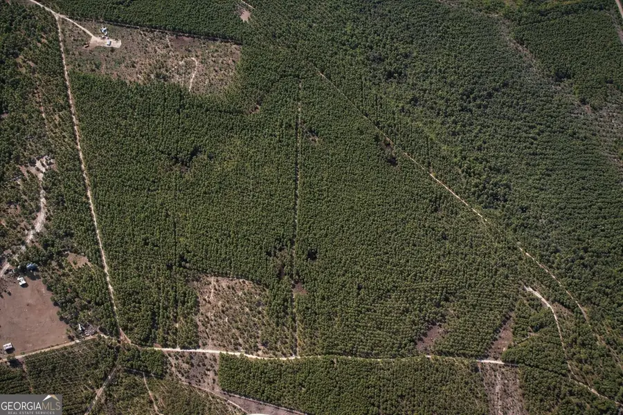 0 Long Ford Road, Jesup, GA 31546 - #3