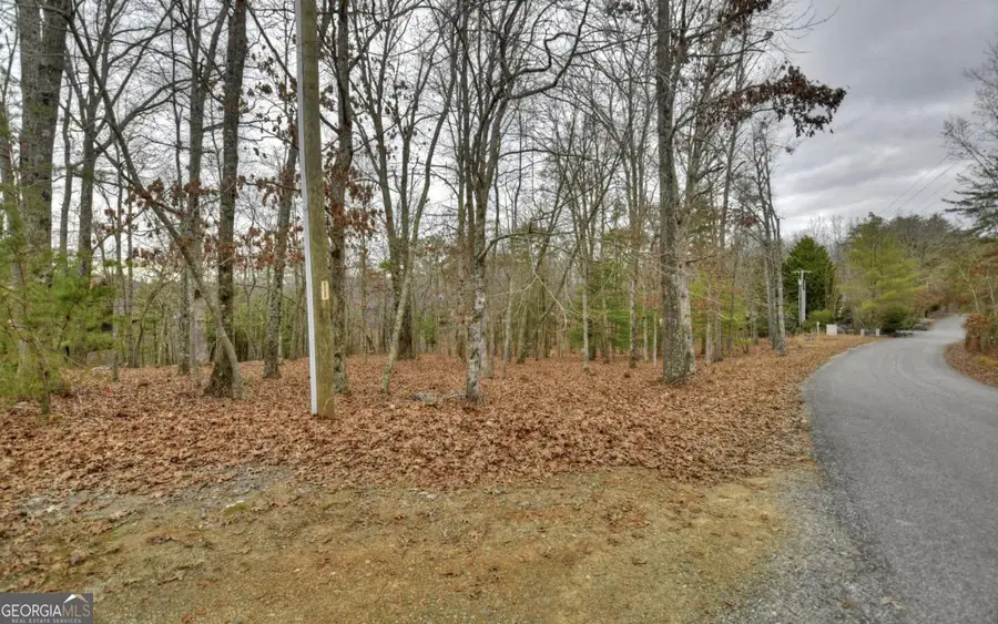 LT 57 Riverwalk On Toccoa #57, Mineral Bluff, GA 30559 - #2