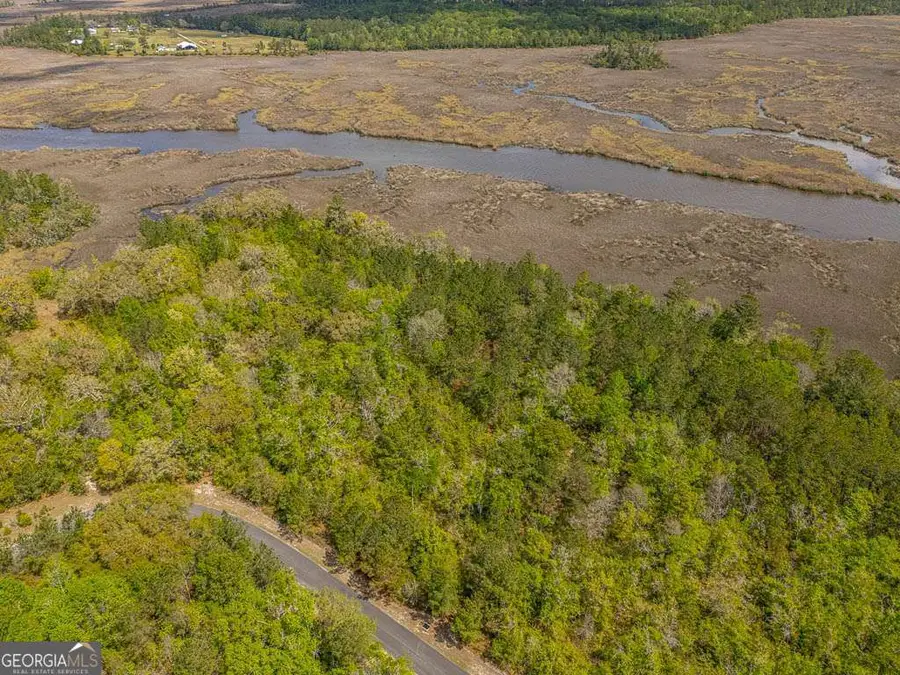 LOT 47 Waverly Lane, White Oak, GA 31568 - #2