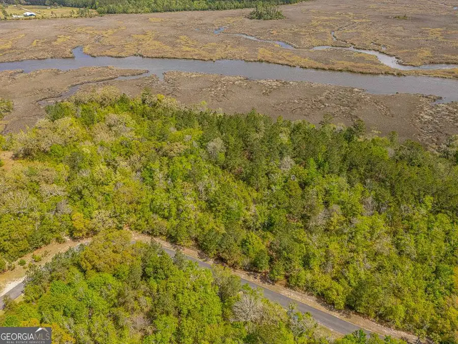 LOT 47 Waverly Lane, White Oak, GA 31568 - #3