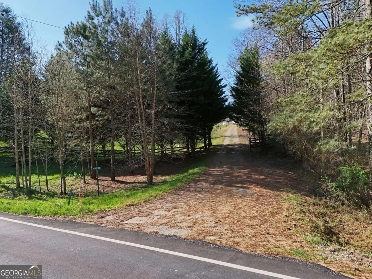 4801 Pat Colwell Road, Blairsville, GA 30512 - #1