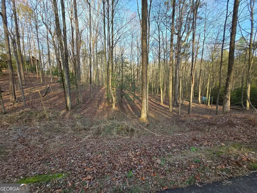 0 Chatawa Court, Ellijay, GA 30540 - #2