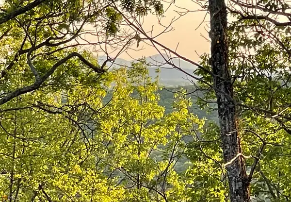 0 Little Eagle Mountain #LOT 5, Clarkesville, GA 30523