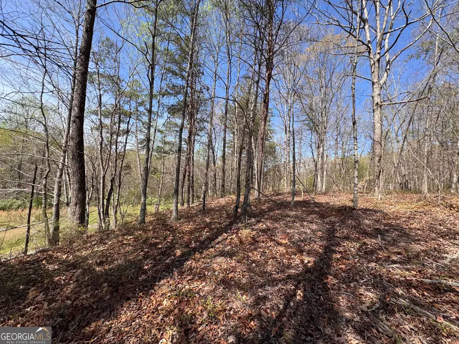 0 Highway 129 N, Cleveland, GA 30528 - #2