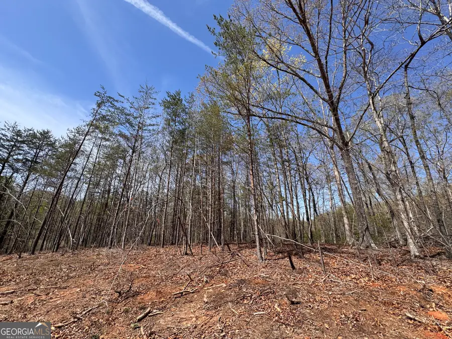 0 Highway 129 N, Cleveland, GA 30528 - #3