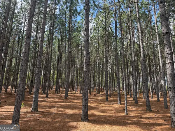 012 Barge Road, Lumpkin, GA 31815