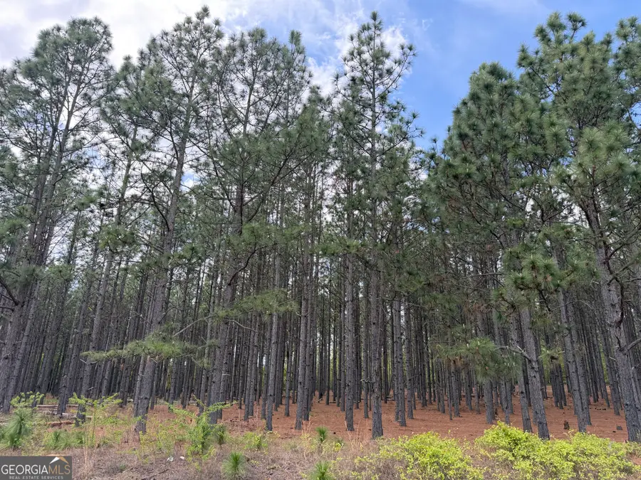 012 Barge Road, Lumpkin, GA 31815 - #2