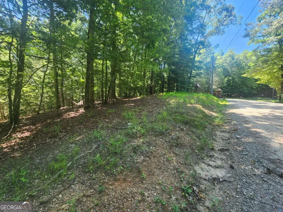 LOT 3 Meadow View Drive #3, Morganton, GA 30560 - #2