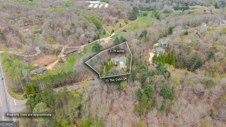 73 The Oaks Drive, Ellijay, GA 30540 - #3