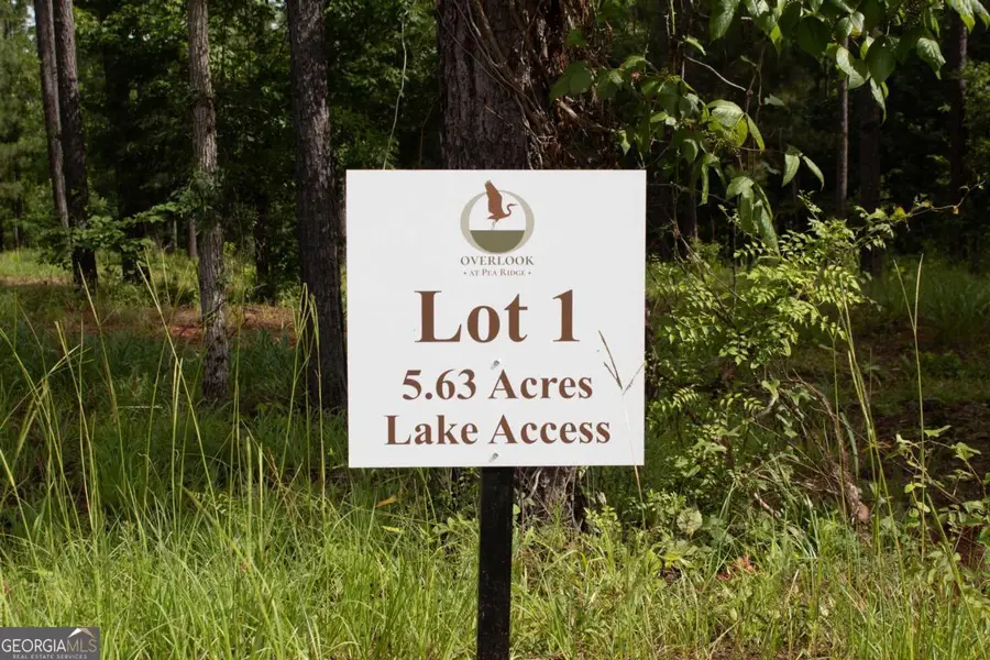 100 Overlook Drive, Eatonton, GA 31024 - #2