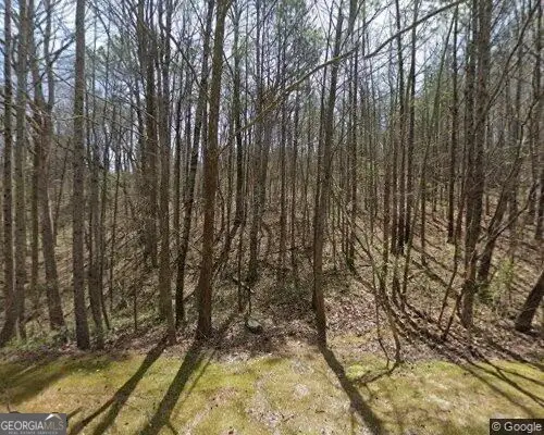 8935 Saddle Trail, Cumming, GA 30040 - #2