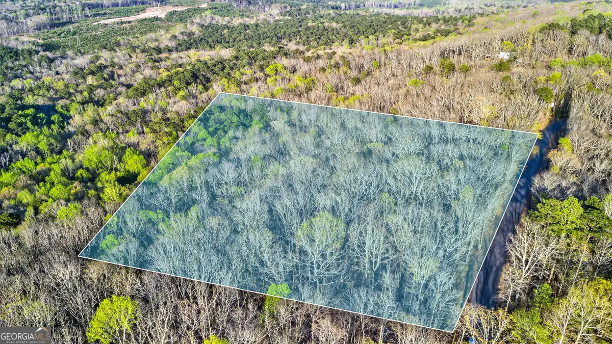 909 Weeding Cherry Drive, Waverly Hall, GA 31831 - #1