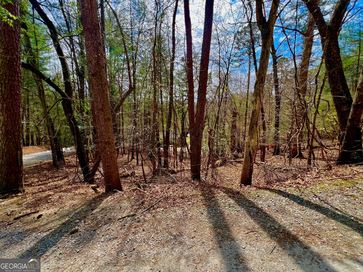 525 Camber Court, Ellijay, GA 30540 - #1