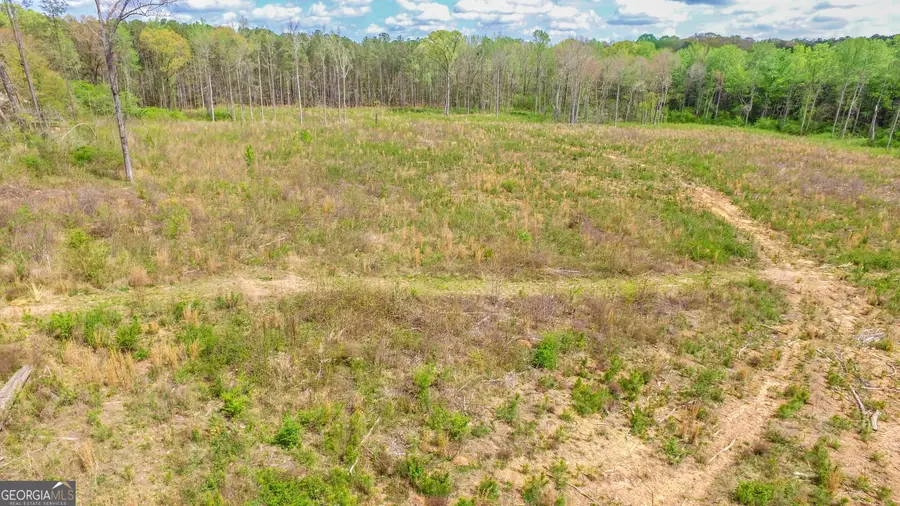 2185 Highway 85, Senoia, GA 30276 - #3