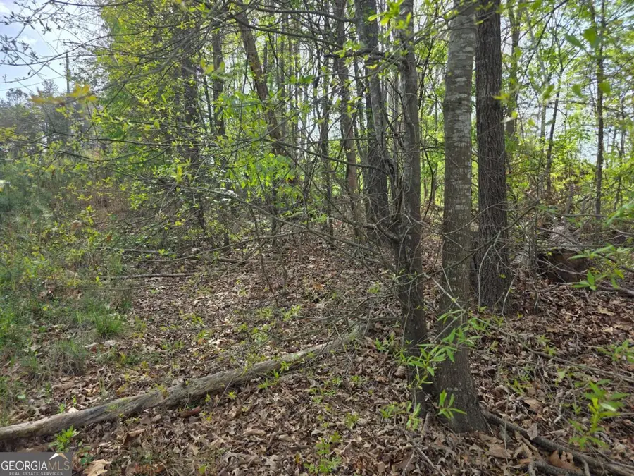 LOT 77 Lake Club Circle, Lavonia, GA 30553 - #3